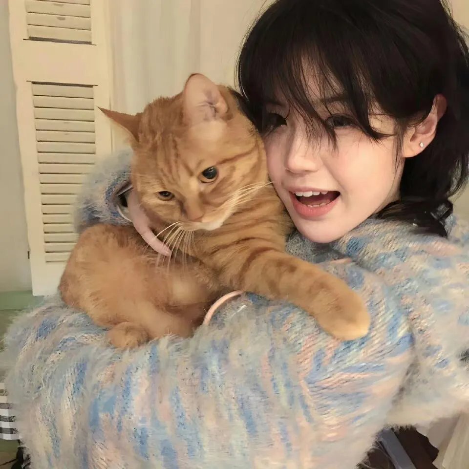 报告王爷,王妃是只猫