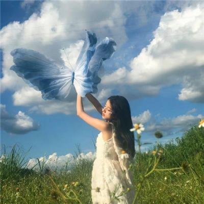 双鱼陨石