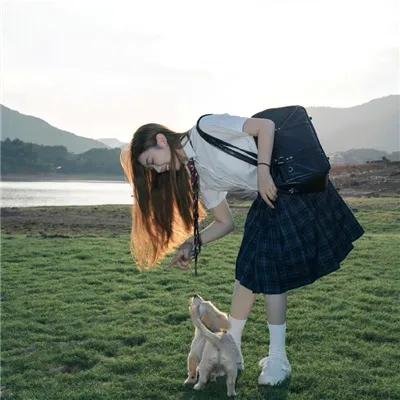 虚龙争假虎斗
